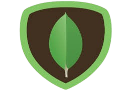 mongodb skill
